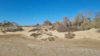 2023-GC-Dunas_Maspalomas-106.jpg